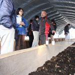 ウドの伏せ込み作業を学ぶ部会員