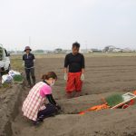 定植の体験をする新規栽培者