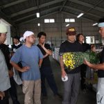 とちぎ版=しおのや・小森・0726・スプレーマム 盆に向け、出荷統一