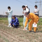 たまねぎ現地検討会