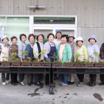 P11-2 寄せ植え教室（塩・あじさい会）5625