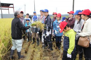JA職員(左)が手刈りの仕方を説明
