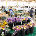 直売所さくら感謝祭4577