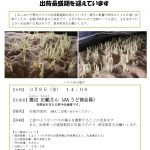 プレスリリースvol.31　ウド　出荷最盛期_pages-to-jpg-0001