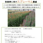 プレスリリースvol.23　　彼岸に向けプレー菊最盛_page-0001