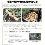 プレスリリースvol.8　加工タマネギ　出荷開始_page-0001