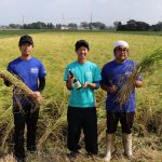p8-9　ほっとニュース　山田錦　収穫